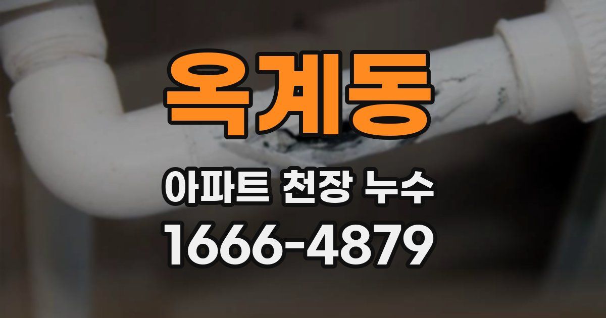 옥계동 아파트 천장 누수