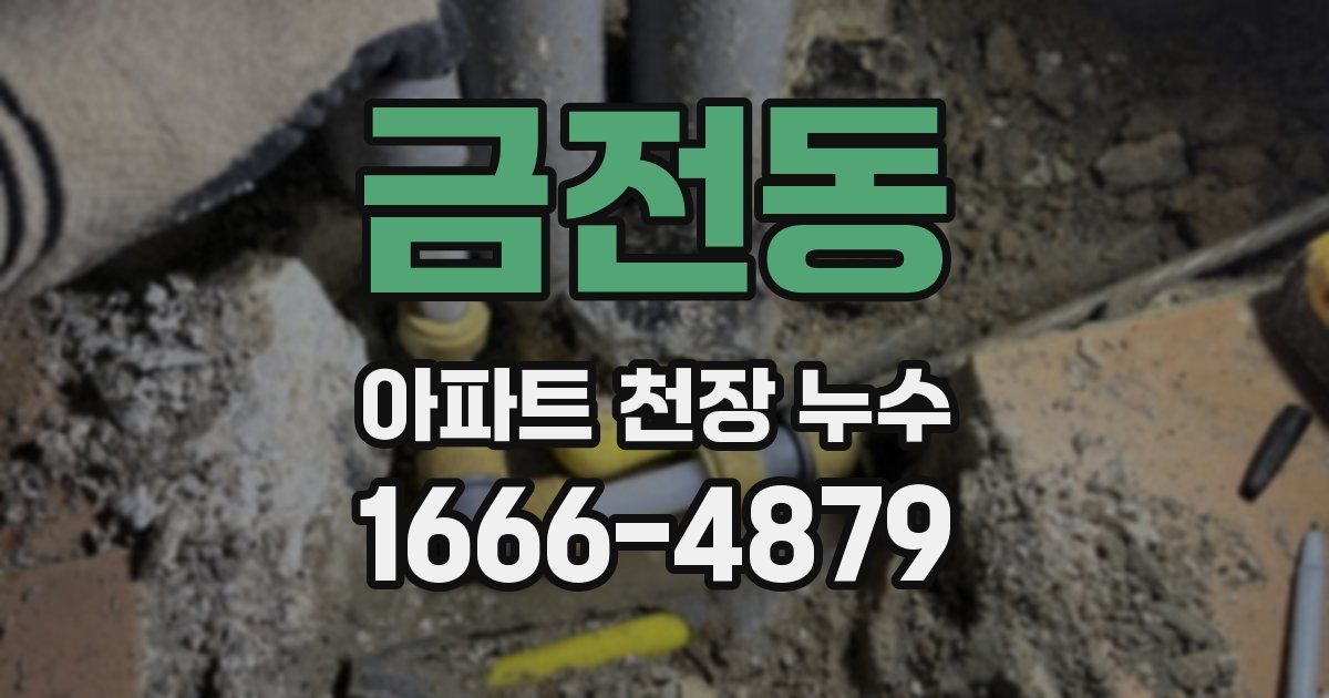 금전동 아파트 천장 누수