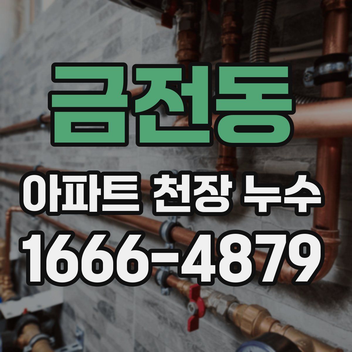 금전동 아파트 천장 누수
