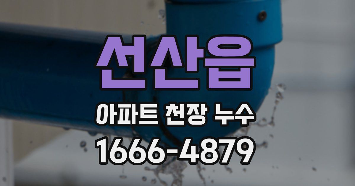 선산읍 아파트 천장 누수