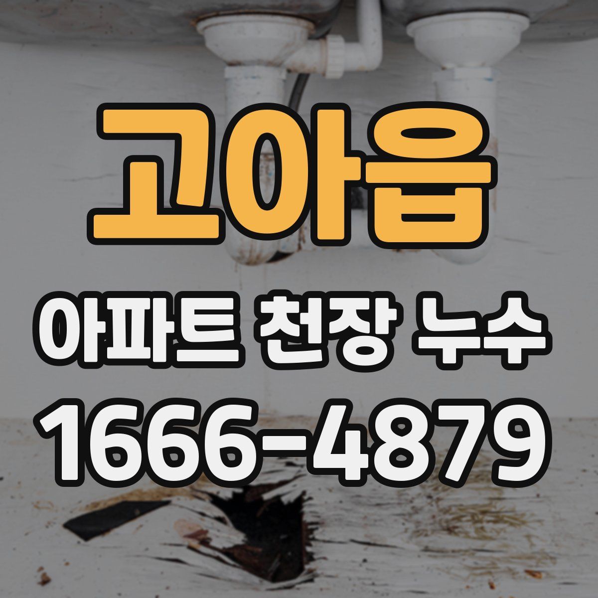 고아읍 아파트 천장 누수