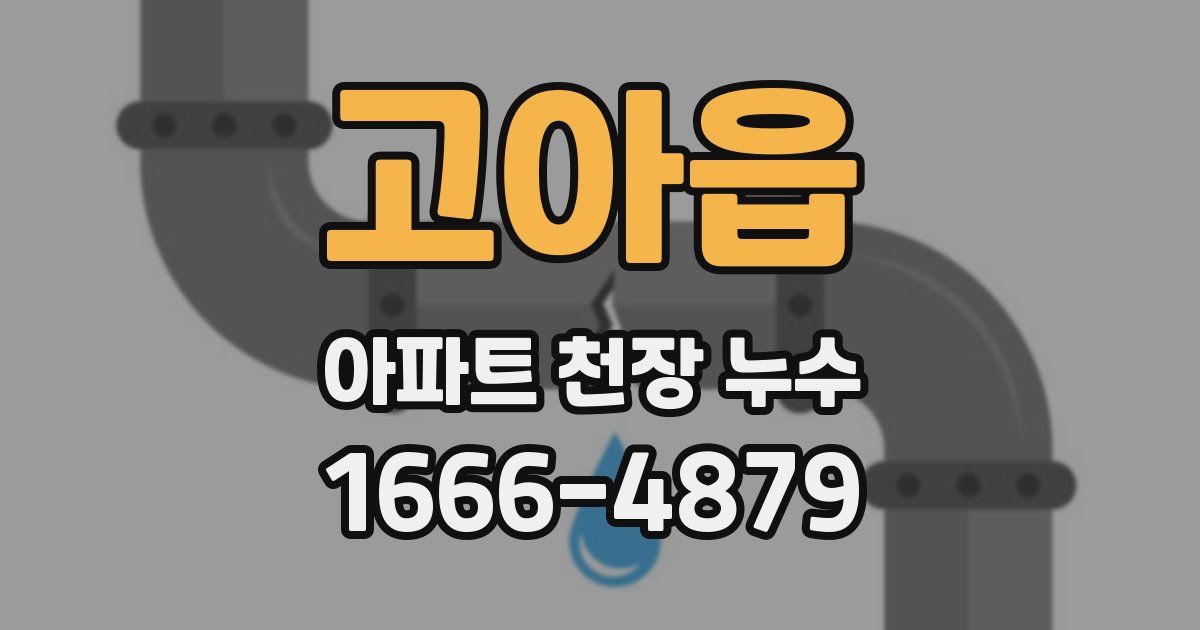 고아읍 아파트 천장 누수