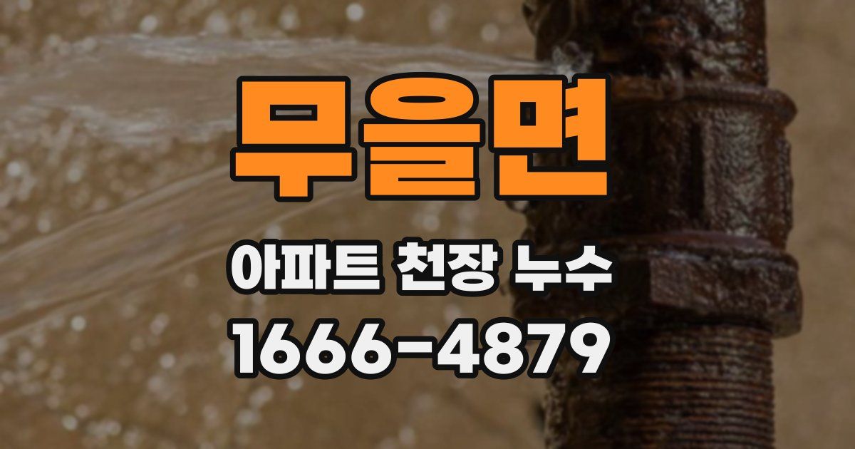 무을면 아파트 천장 누수