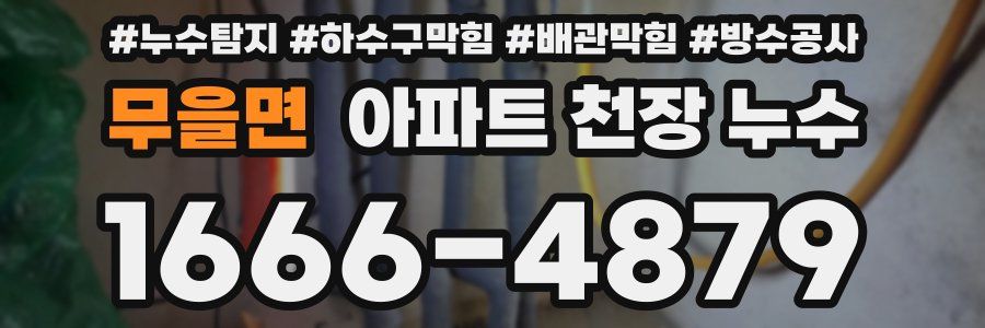 무을면 아파트 천장 누수