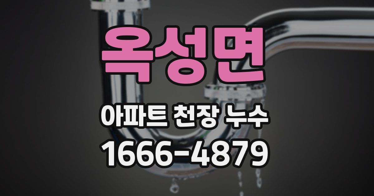옥성면 아파트 천장 누수