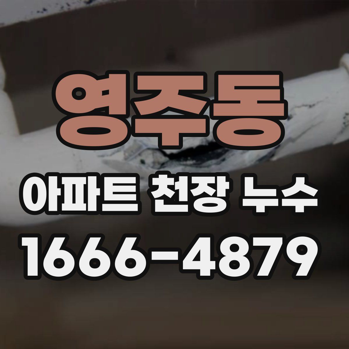 영주동 아파트 천장 누수
