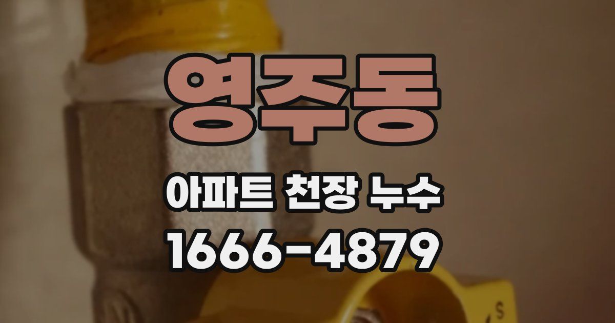 영주동 아파트 천장 누수