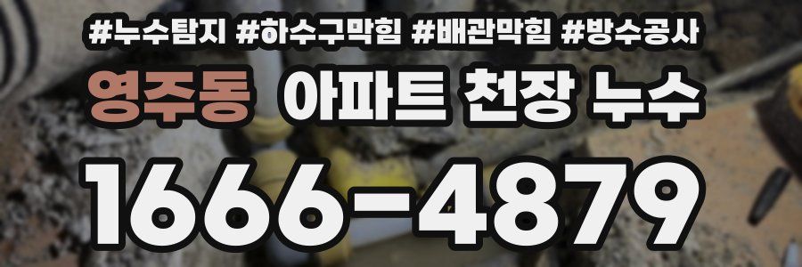 영주동 아파트 천장 누수