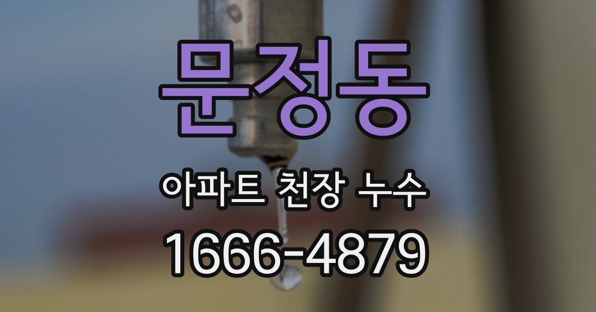 문정동 아파트 천장 누수