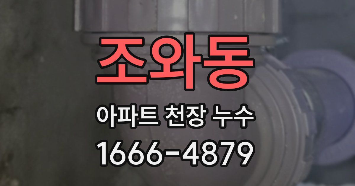 조와동 아파트 천장 누수
