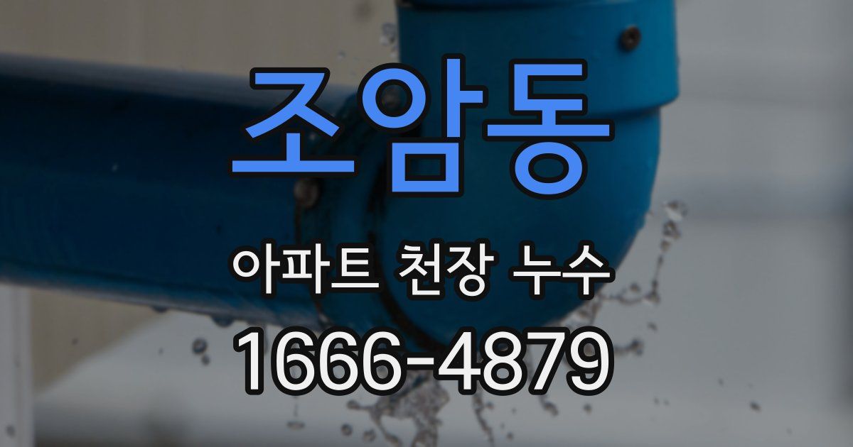 조암동 아파트 천장 누수