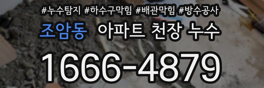 조암동 아파트 천장 누수