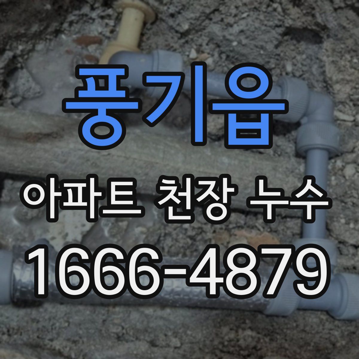 풍기읍 아파트 천장 누수