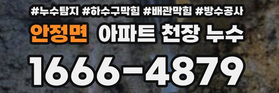 안정면 아파트 천장 누수