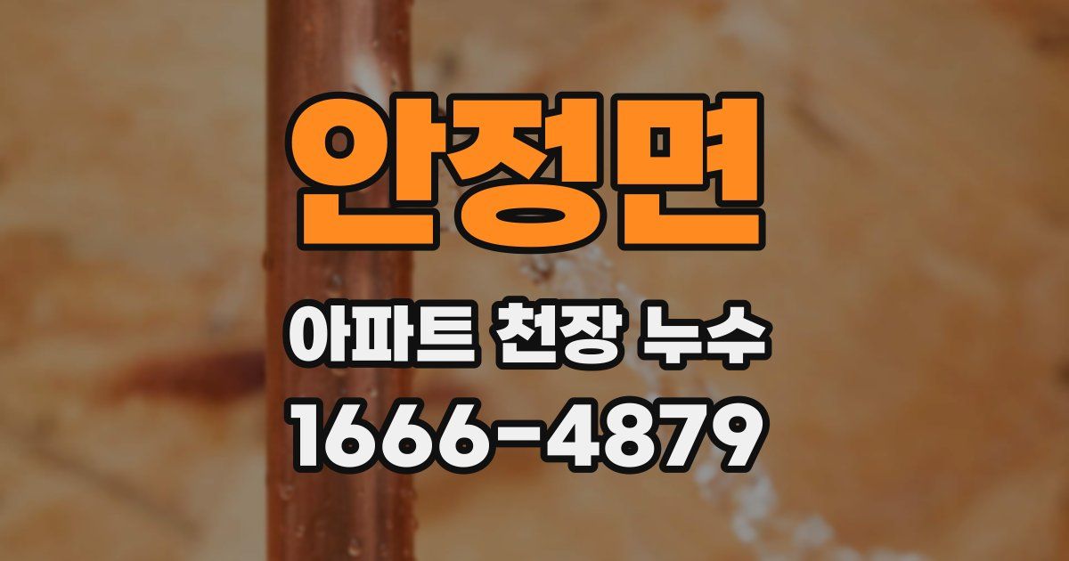안정면 아파트 천장 누수
