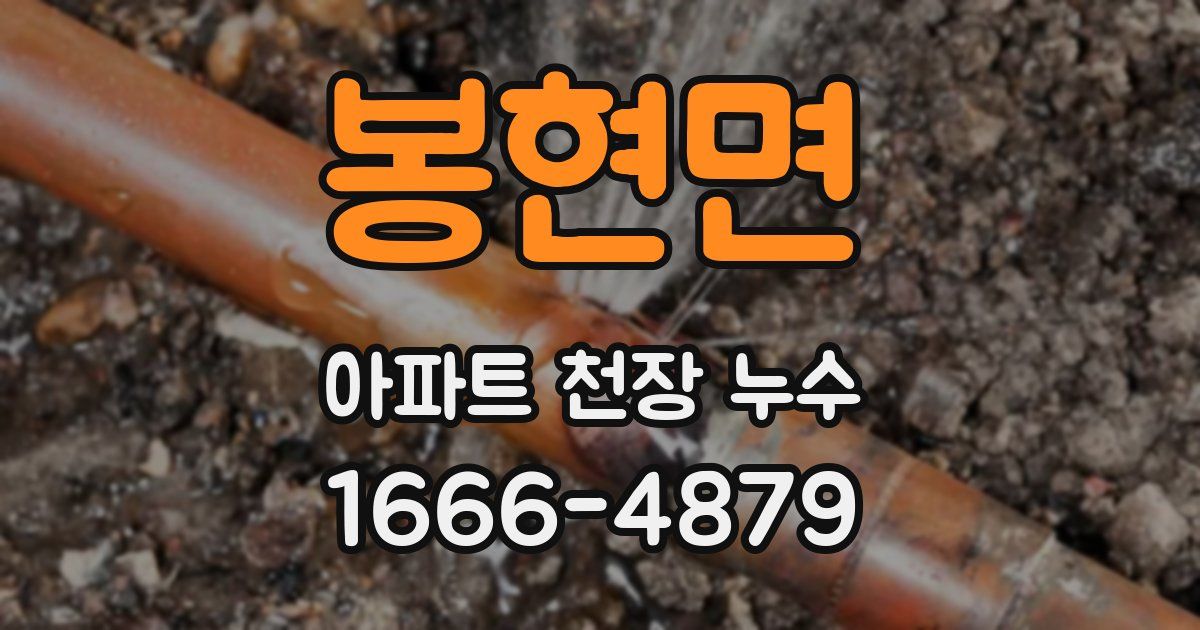 봉현면 아파트 천장 누수