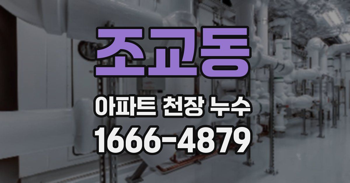 조교동 아파트 천장 누수