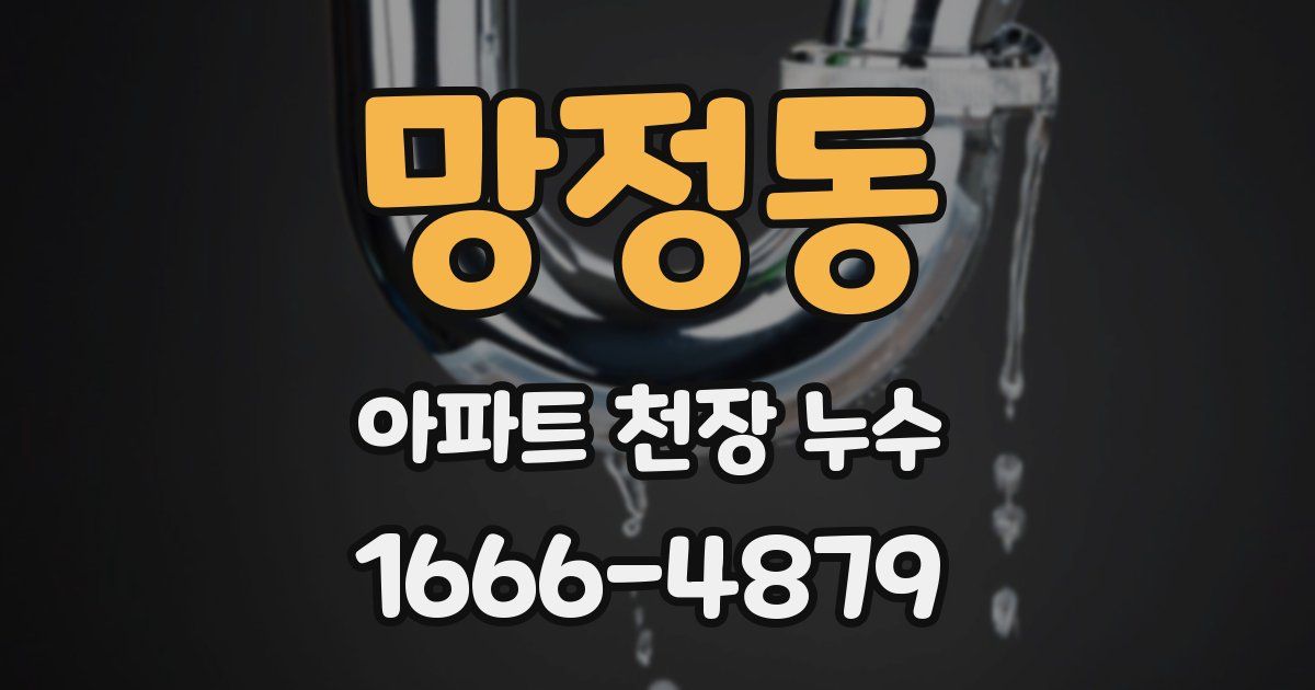 망정동 아파트 천장 누수