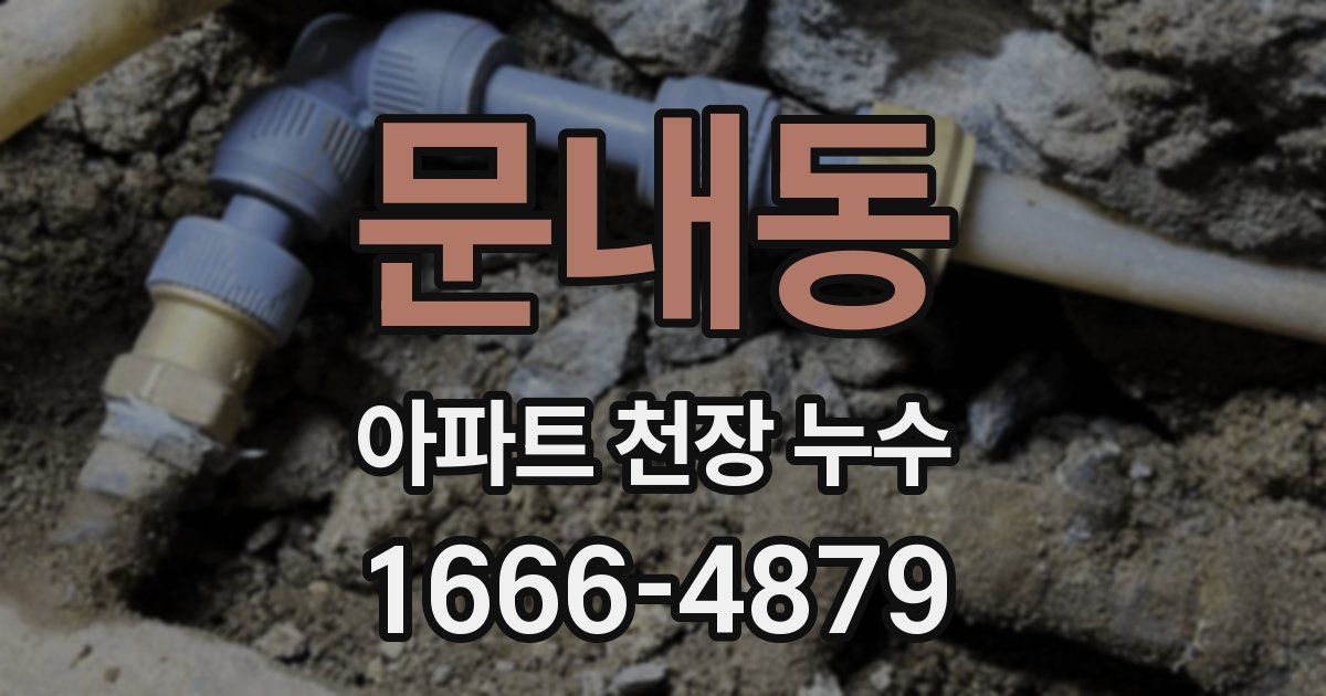 문내동 아파트 천장 누수