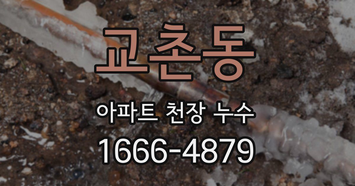 교촌동 아파트 천장 누수