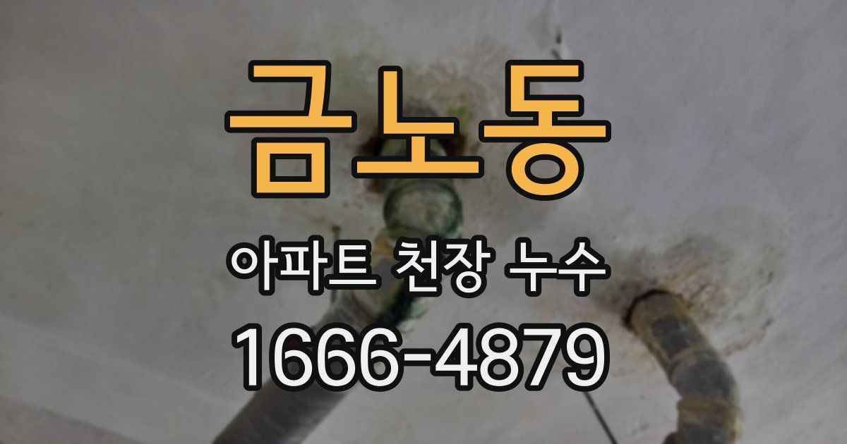 금노동 아파트 천장 누수