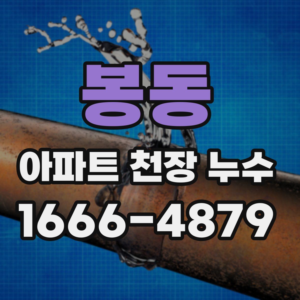 봉동 아파트 천장 누수