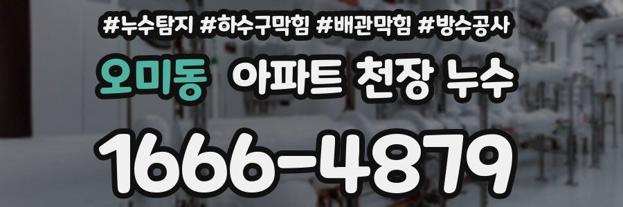 오미동 아파트 천장 누수