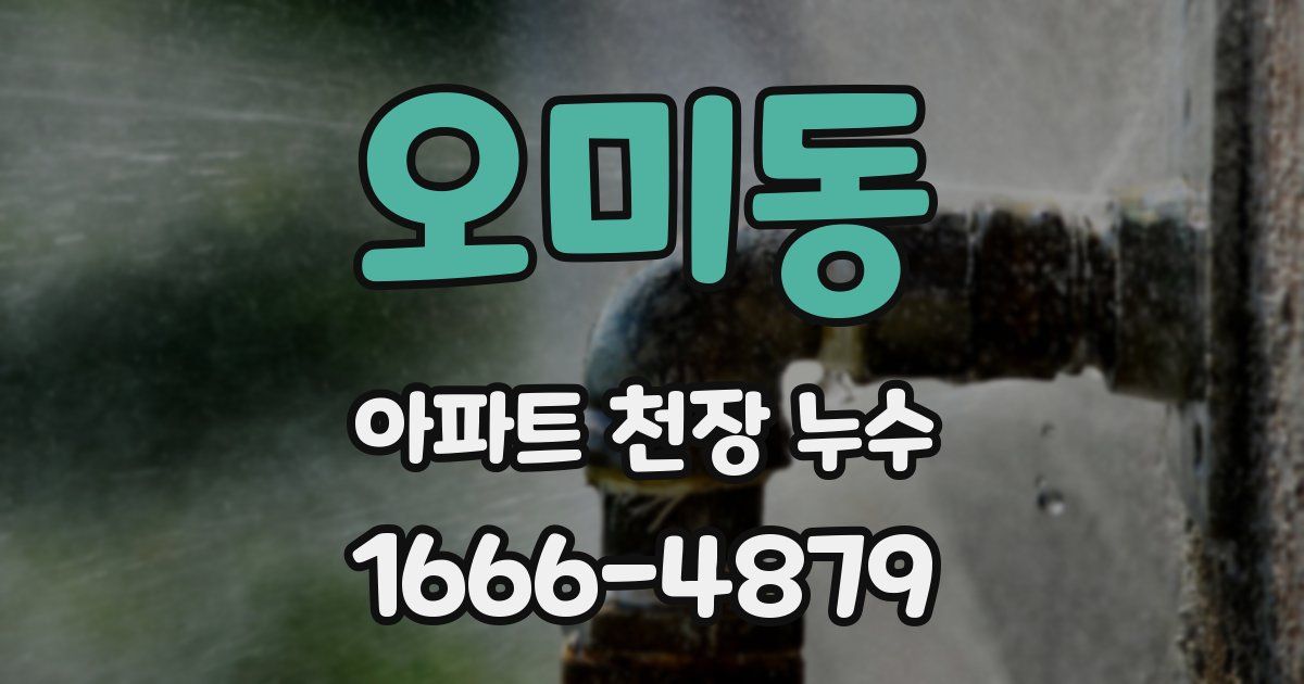 오미동 아파트 천장 누수