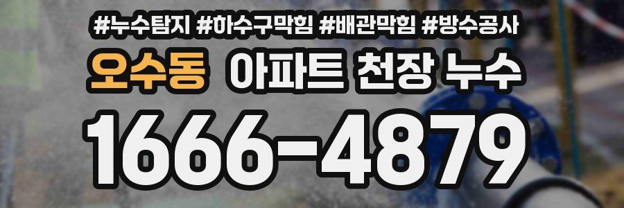 오수동 아파트 천장 누수