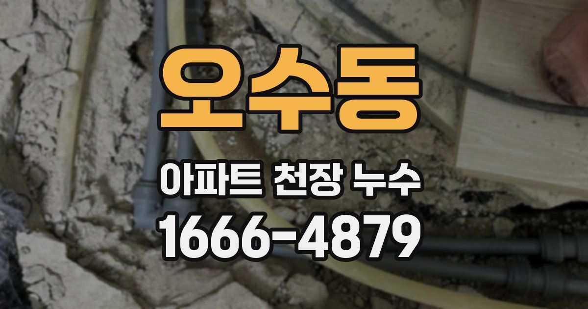 오수동 아파트 천장 누수