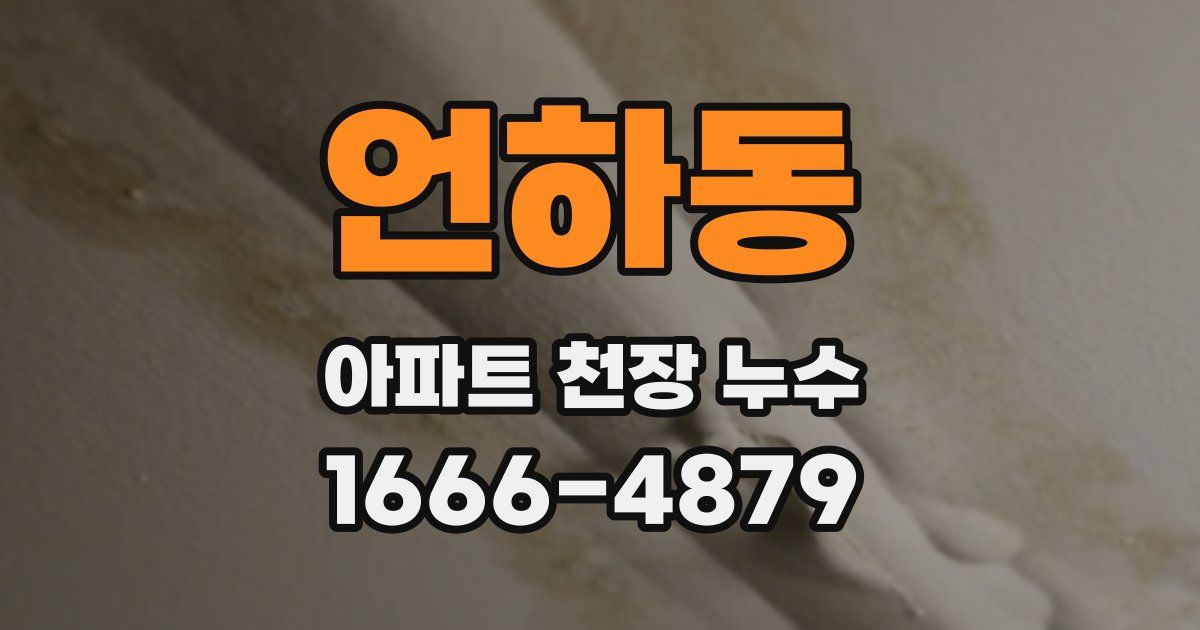 언하동 아파트 천장 누수