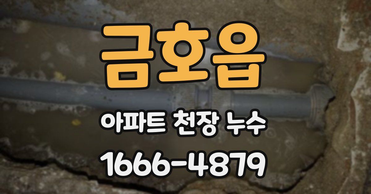 금호읍 아파트 천장 누수