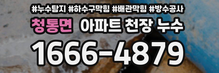청통면 아파트 천장 누수