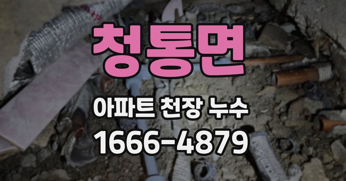 청통면 아파트 천장 누수