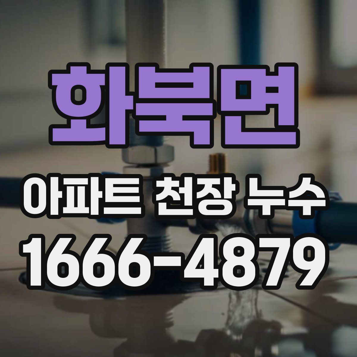 화북면 아파트 천장 누수