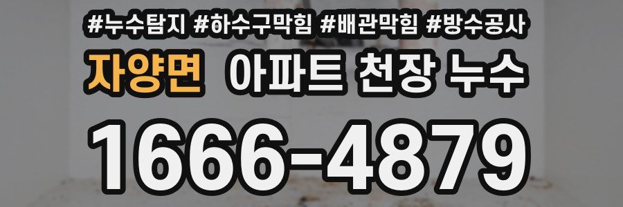 자양면 아파트 천장 누수