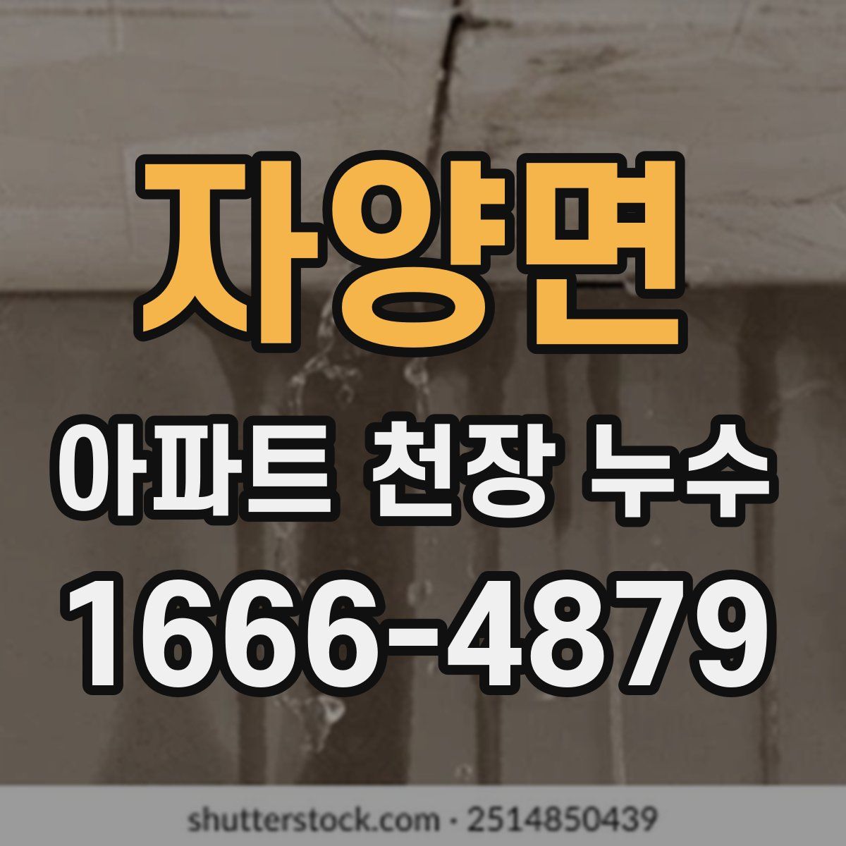 자양면 아파트 천장 누수