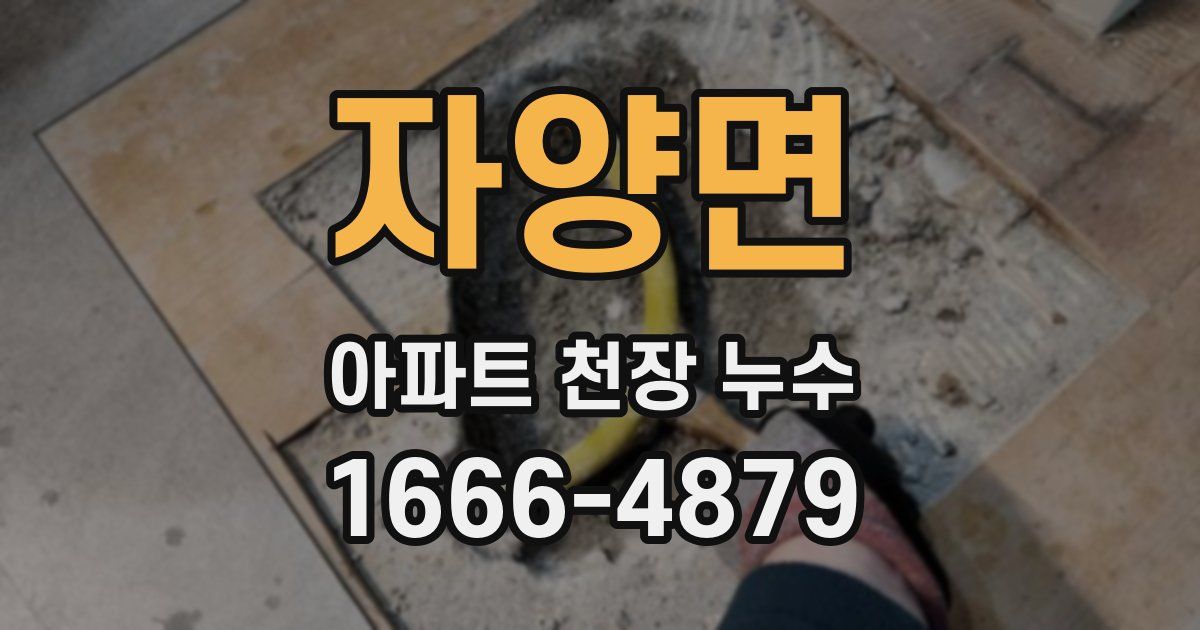 자양면 아파트 천장 누수