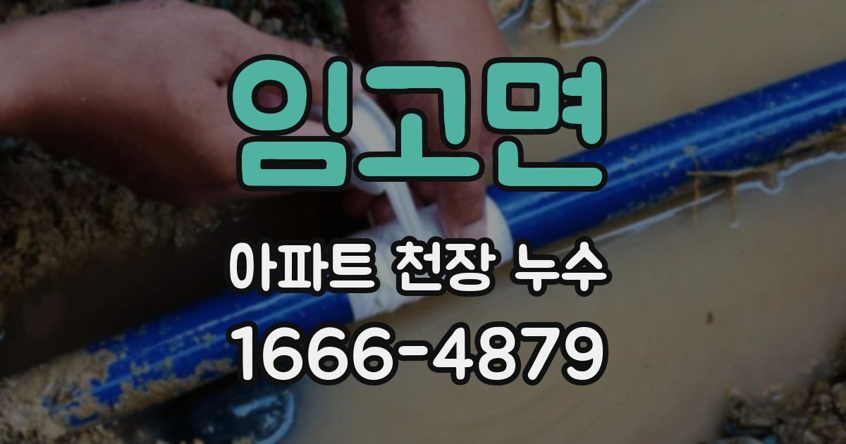 임고면 아파트 천장 누수