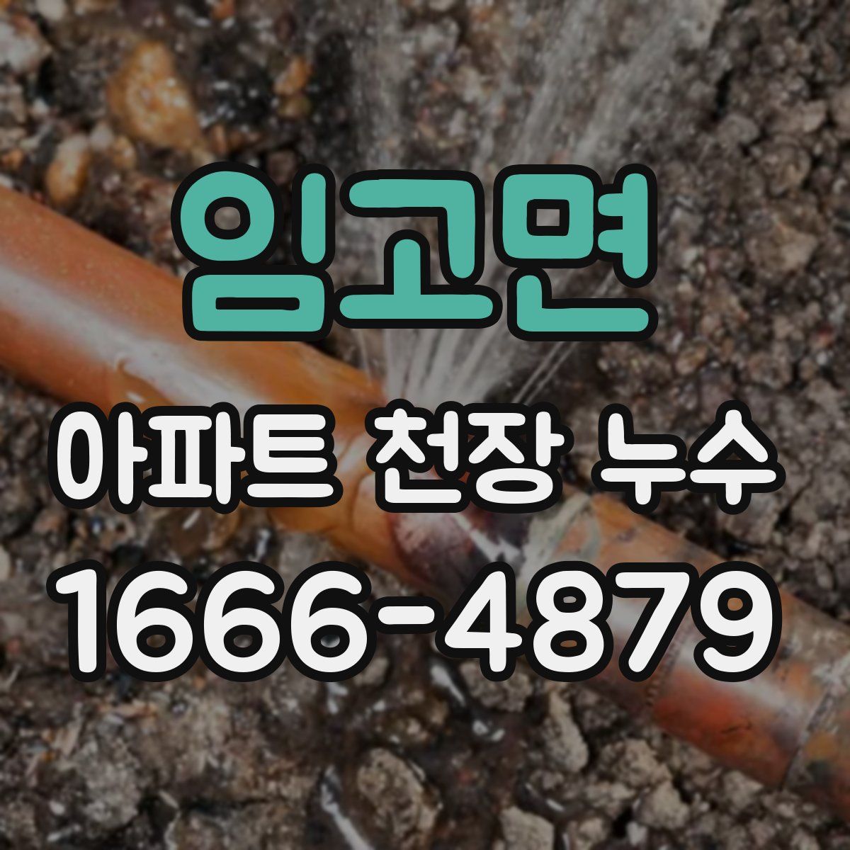 임고면 아파트 천장 누수