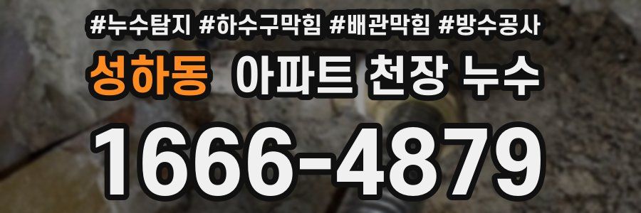 성하동 아파트 천장 누수