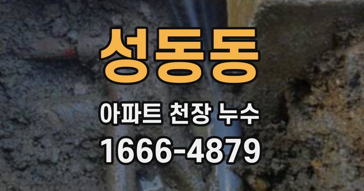 성동동 아파트 천장 누수