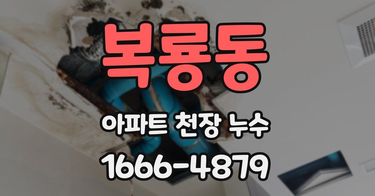 복룡동 아파트 천장 누수