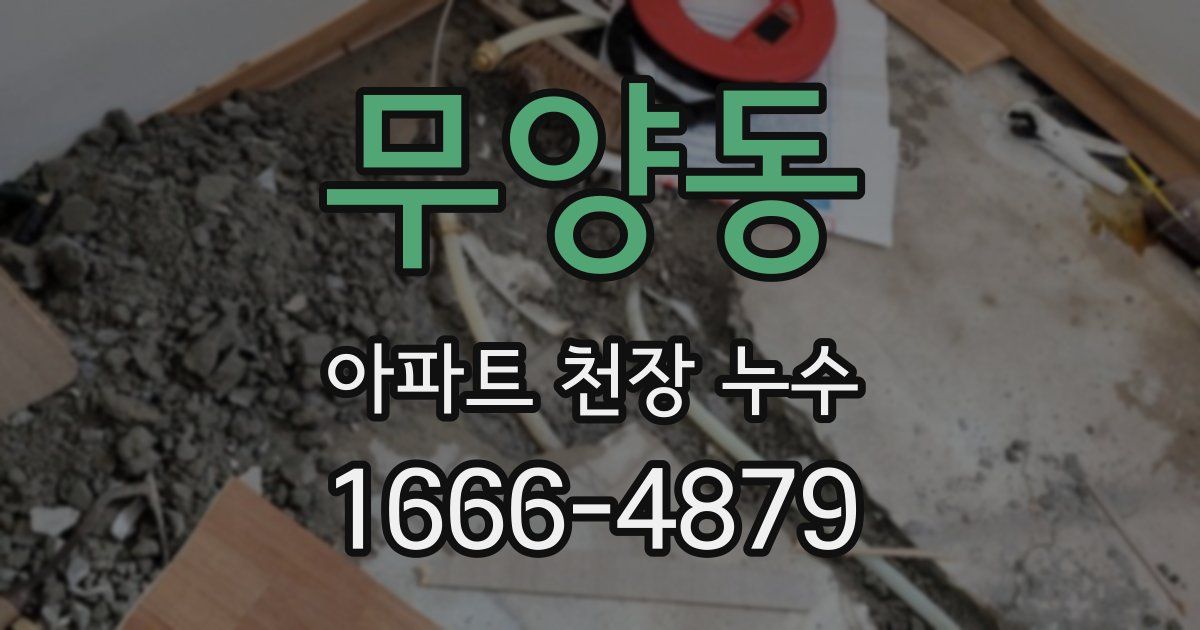 무양동 아파트 천장 누수