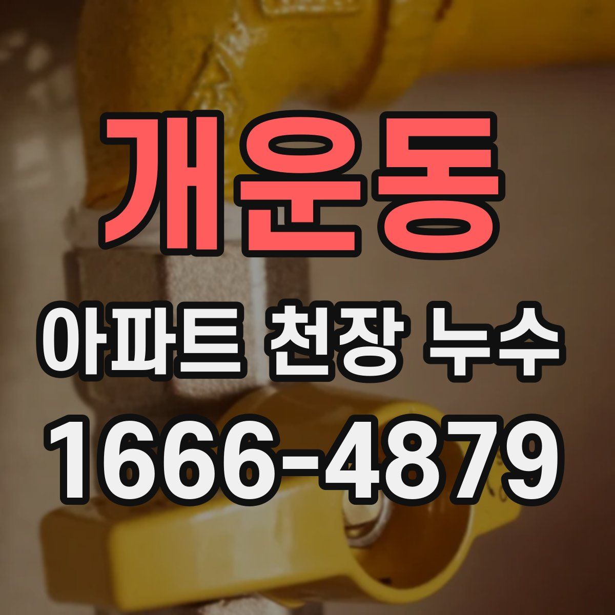 개운동 아파트 천장 누수