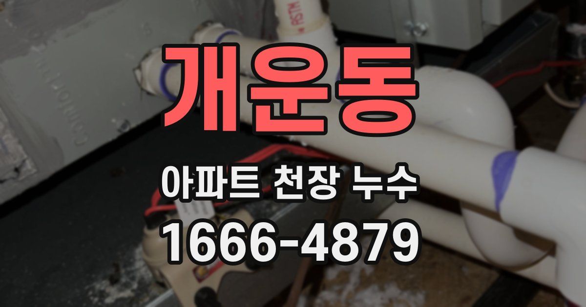 개운동 아파트 천장 누수