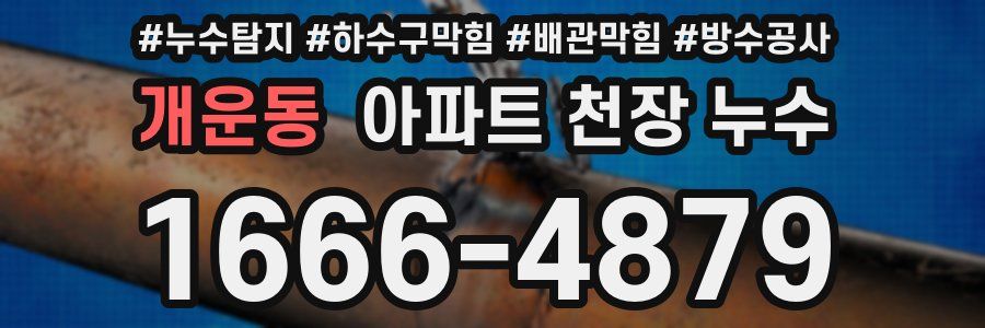 개운동 아파트 천장 누수