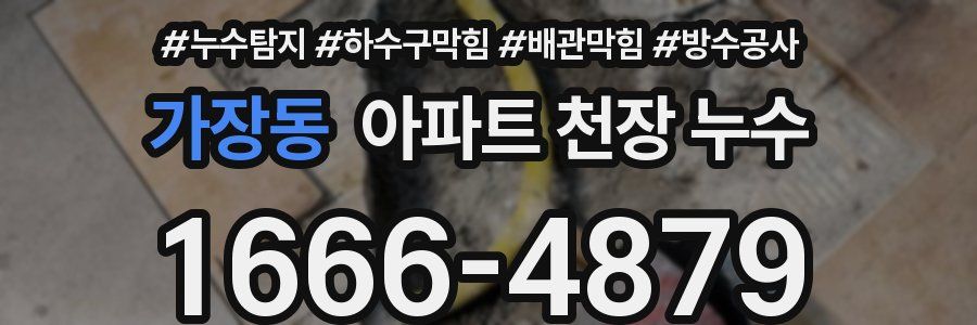 가장동 아파트 천장 누수