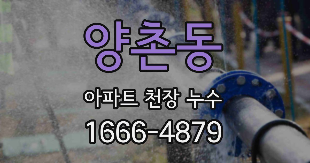 양촌동 아파트 천장 누수