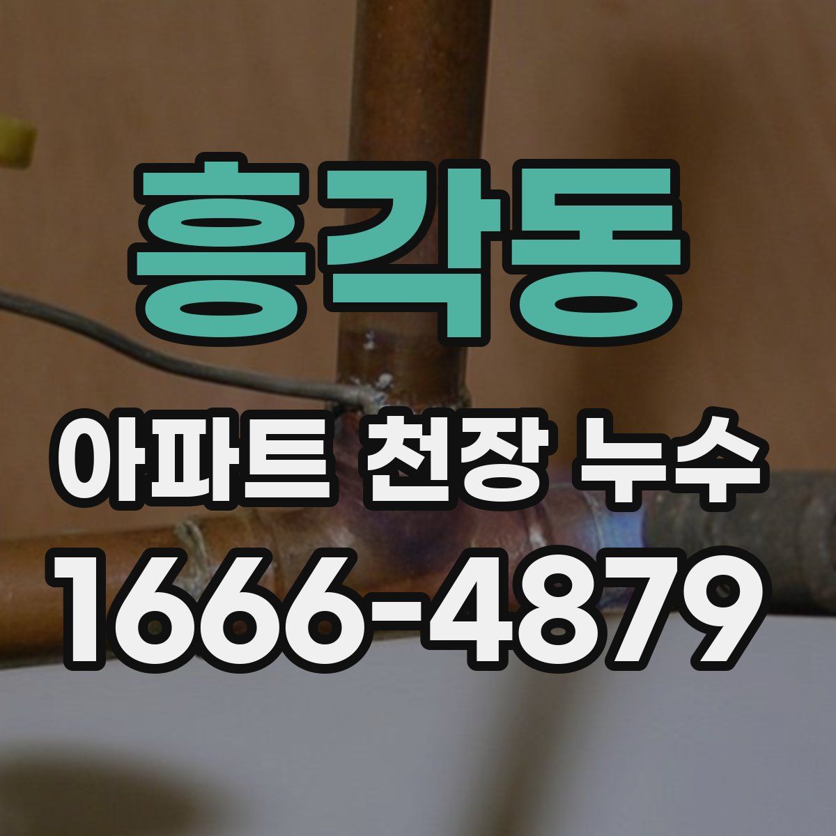 흥각동 아파트 천장 누수
